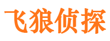 南海市私家侦探